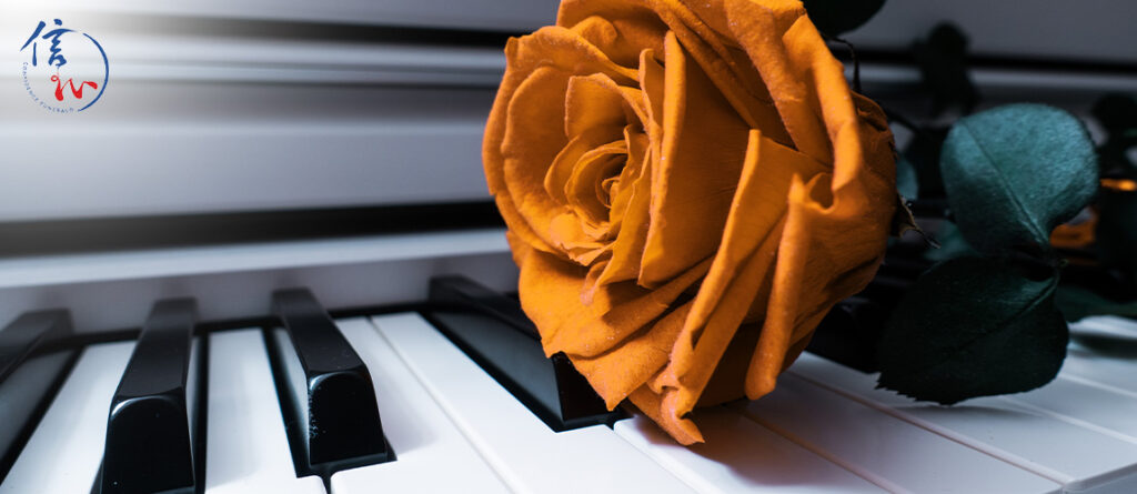 An orange rose placed on piano keys for a memorial service.